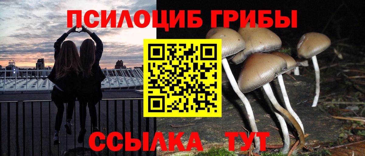 Галлюциногенные грибы GOLDEN TEACHER  Вход с VPN  Псилоцибиновые грибы GOLDEN TEACHER  Киров 