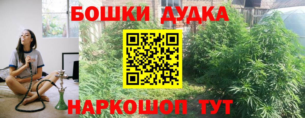 Бошки Шишки сатива  Канабис семена  Киров  Вход с VPN 